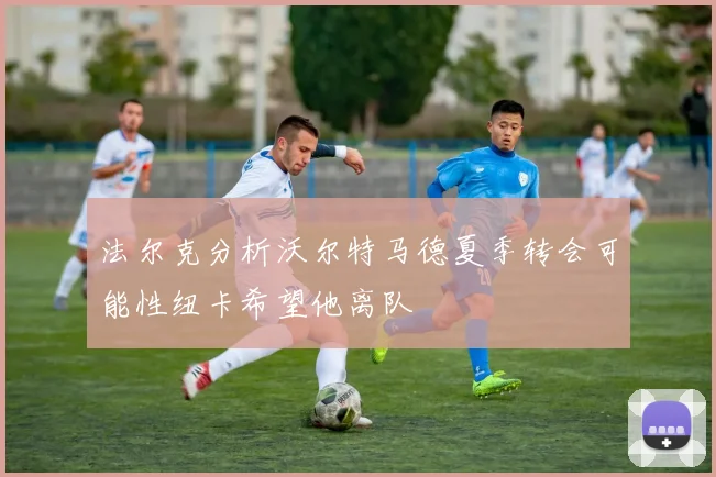 法尔克分析沃尔特马德夏季转会可能性纽卡希望他离队