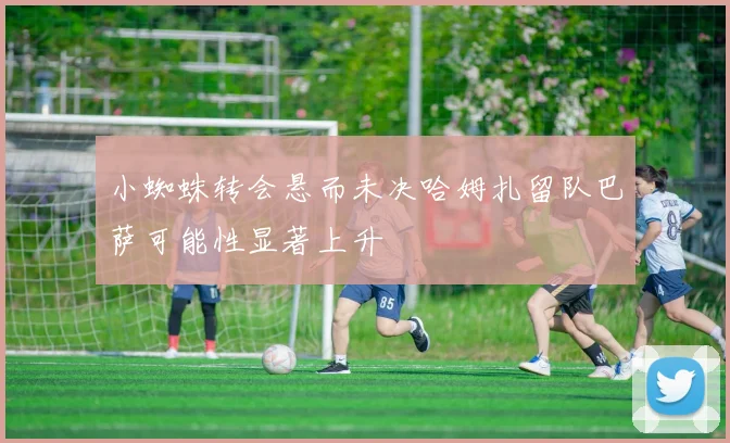 小蜘蛛转会悬而未决哈姆扎留队巴萨可能性显著上升